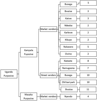 Vendors' handling practices of edible long-horned grasshoppers (Ruspolia differens) products and implications on microbial safety